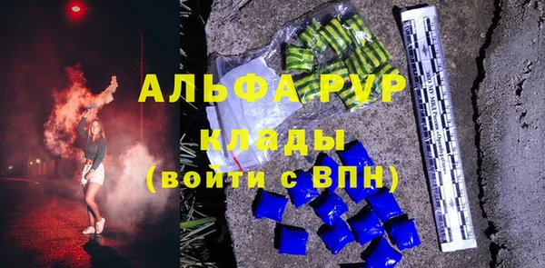 гашик Аркадак