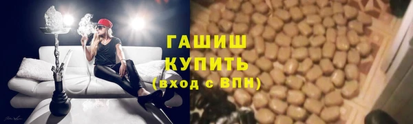 гашик Аркадак