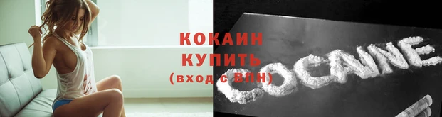 гашик Аркадак