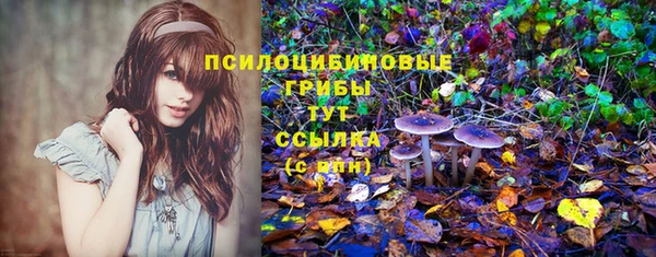 MDMA Армянск