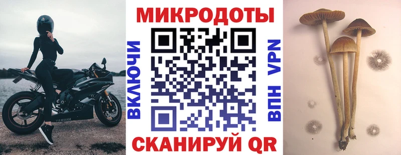 Галлюциногенные грибы ЛСД  Печоры 